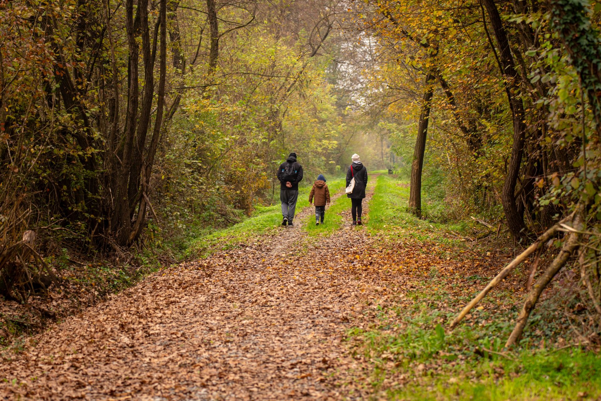 Eine Familie geht im Wald spazieren