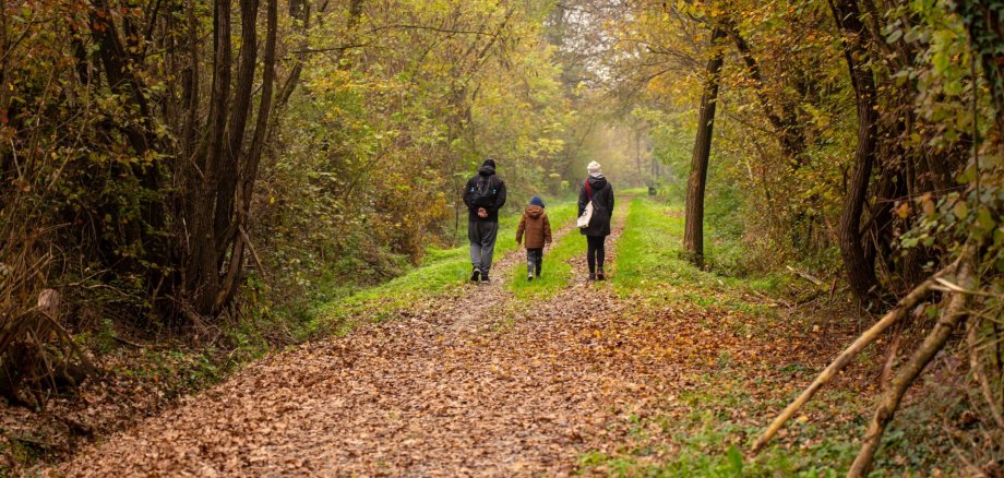 Eine Familie geht im Wald spazieren