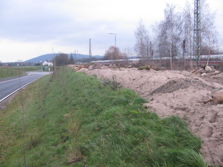 Biotop für Zauneidechsen - Foto 2