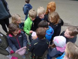 Ein Gruppe Kinder