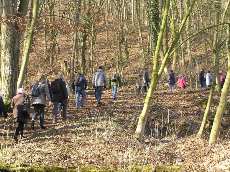 Foto: Eine Gruppe Teilnehmer auf dem Weg durch den Wald
