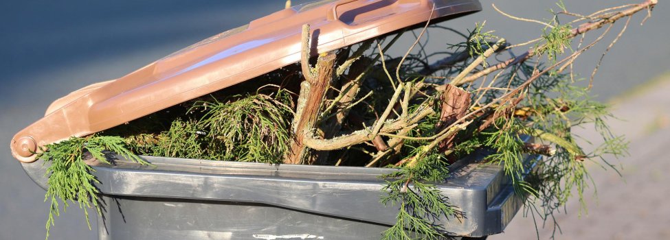 Eine volle Biomülltonn