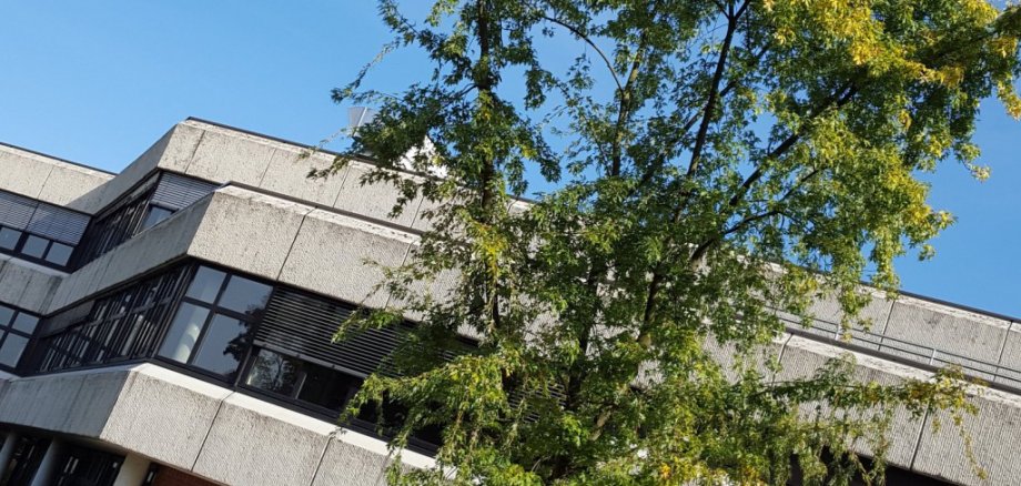 Das Gymnasium Porta Westfalica