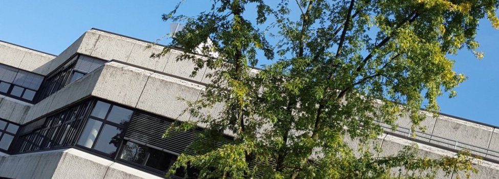 Das Gymnasium Porta Westfalica