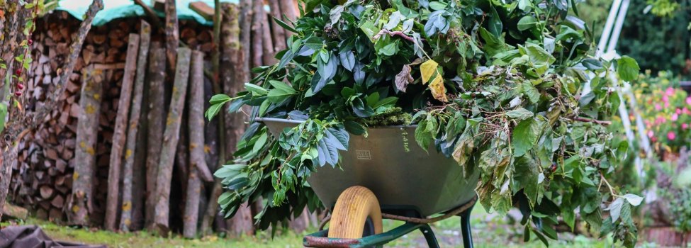 Eine Schubkarre mit Grünschnitt