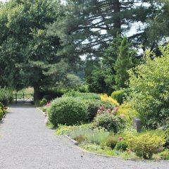 Friedhof Möllbergen