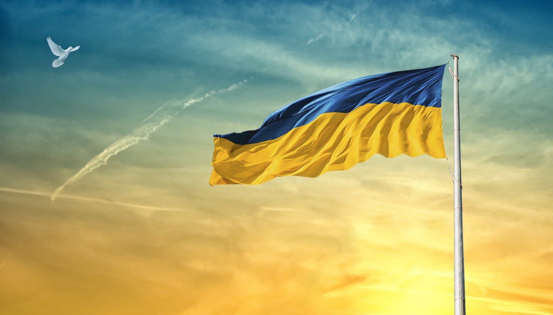 Ukraine-Flagge, Taube