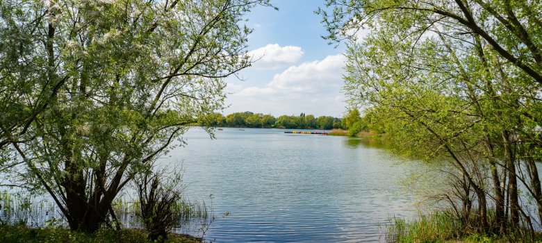 Bäume ein See und Boote